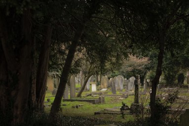 eddie-howell-gravestones-unsplash
